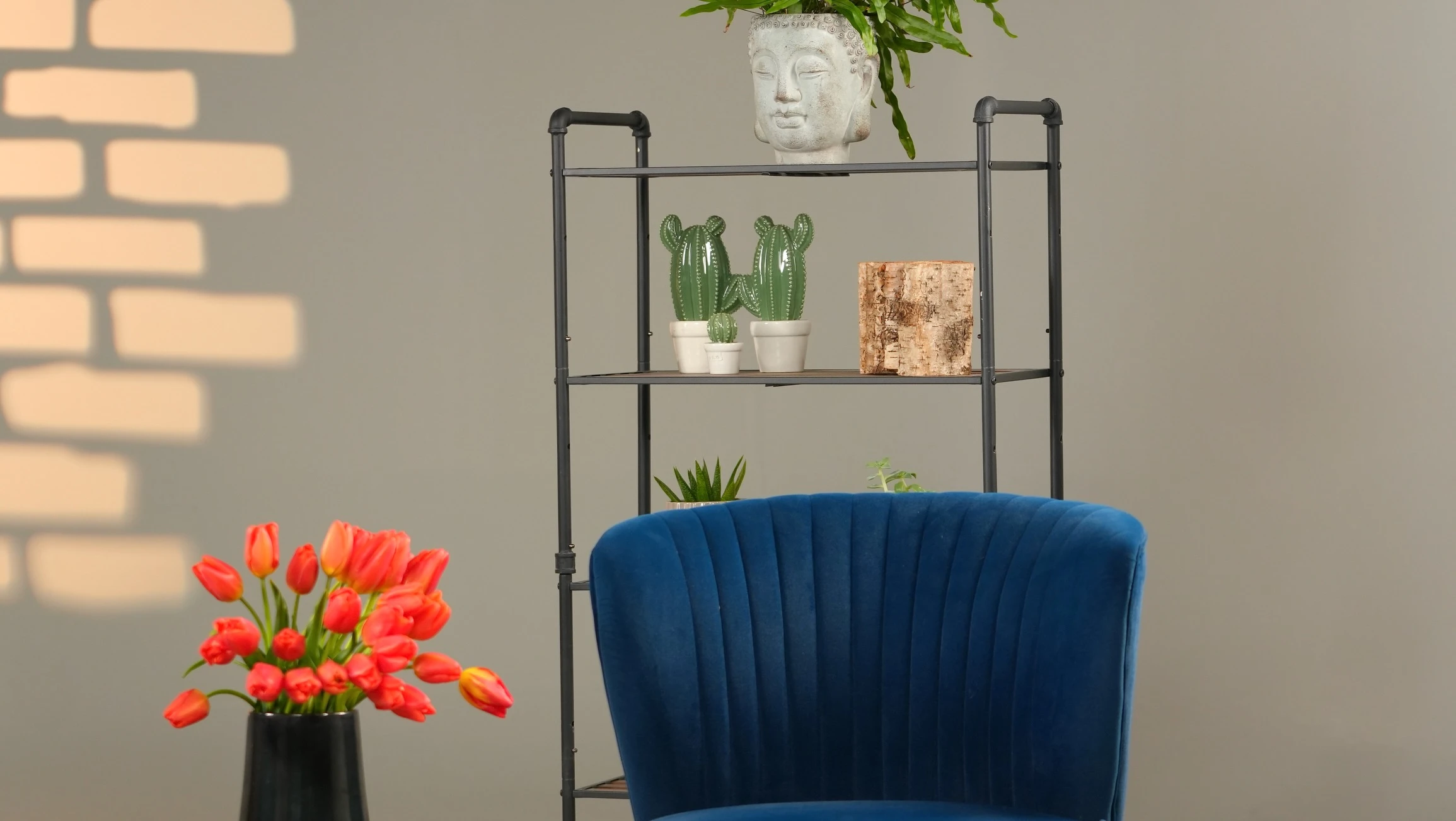 Events at Tooka Studio